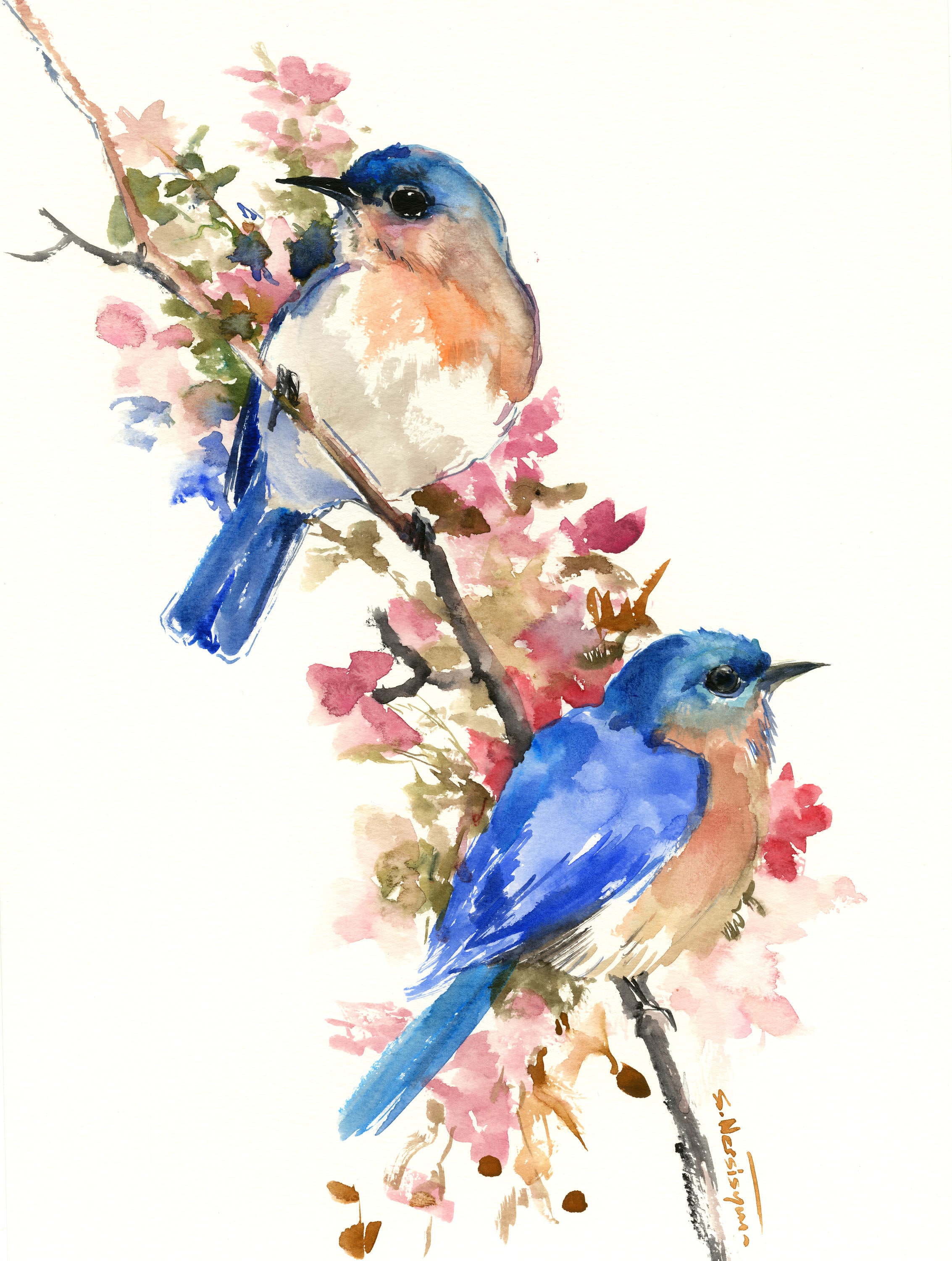 Bluebirds and Spring artwork original painting watercolor Etsy
