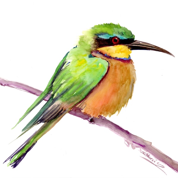 Bee Eater Bird watercolor painting