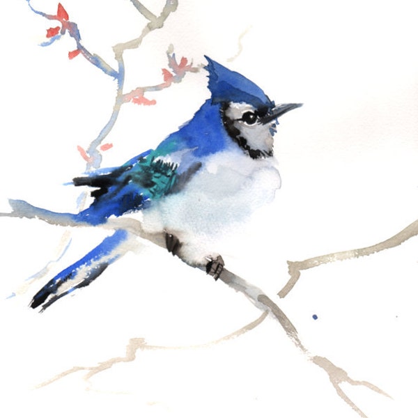 Blue Jay, Original watercolor painting, 12 X 9 in, blue bird watercolor art, watercolor painting