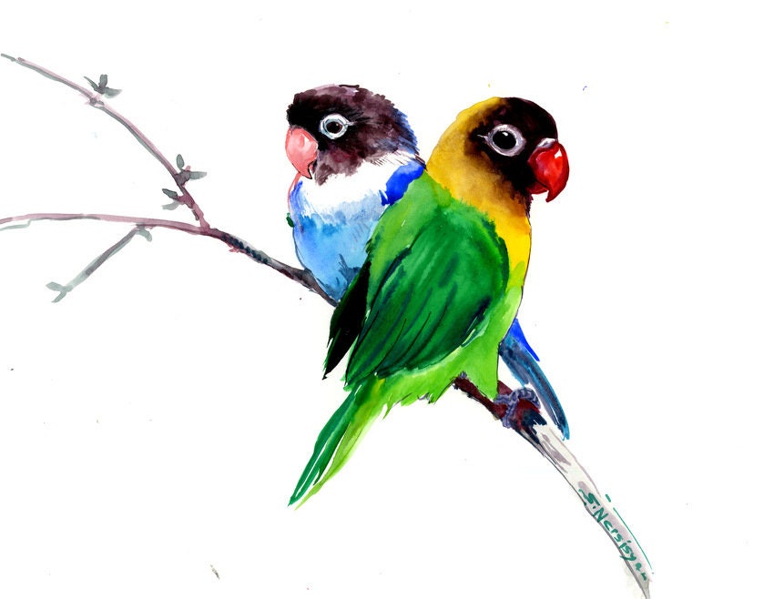 Lovebird bird artwork brigh colors nursery art children | Etsy