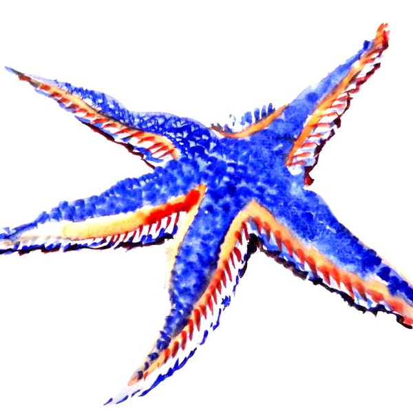 Starfish, Original watercolor painting, 12 X 9 in, blue red sea animal art, sea creatures,