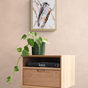 American Kestrel Bird watercolor artwork, original, hand-painted bird wall art image 4