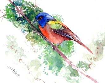 Painted Bunting bird watercolor painting, original, one-of-a-kind wall art
