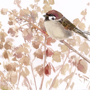 Sparrow in the Field, Watercolor bird artwork, original painting