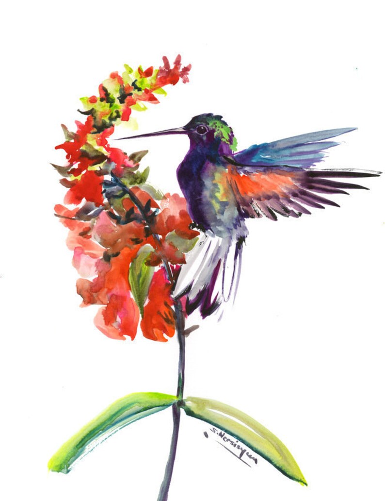 Noir Colibri à Ventre Oeuvres Dart Bleu Turquoise Bleu Gris Wall Art Oiseau Peinture Oiseau En Vol Colibri Original