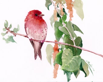 Rosefinch Bird artwork, original watercolor painting, birds and flowers wall art