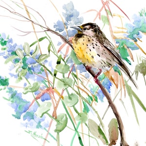 Eastern meadowlark bird in the wild watercolor artwork, original, one of a kind painting
