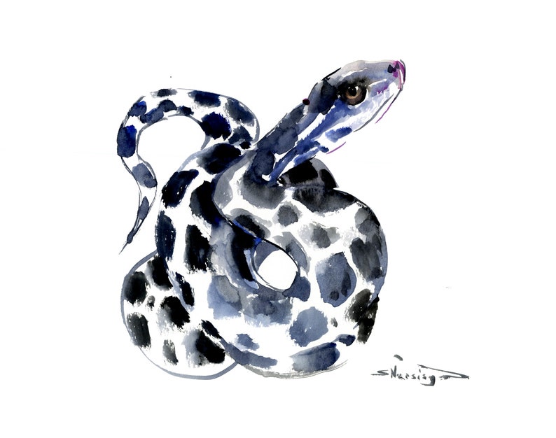 Snake original watercolor painting Art &amp; Collectibles Watercolor lifepharmafze.com