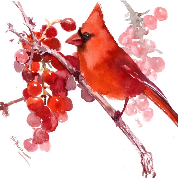 Watercolor Cardinal Bird Artwork, original, hand-painted, one-of-a-kind wall art