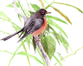 American Robin bird artwork, original hand painted wall art