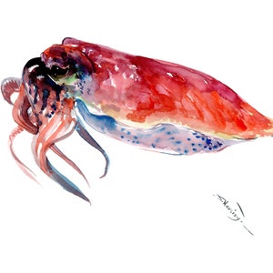 Sea world animals- Squid watercolor painting, aquatic beach house artwork, beautiful quid home decor, original watercolor art