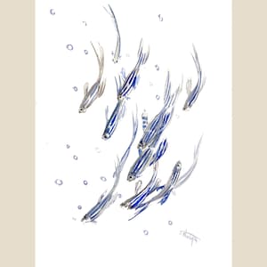 Opera d'arte di pesce zebra, acquerello blu-grigio, opera originale dell'artista Suren