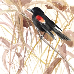 Red Winged Blackbird artwork, an original painting by Suren