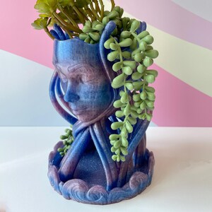 May include: A blue and purple decorative planter shaped like a face, with green succulent plants. The planter has a textured surface and a detailed design. The succulent plants are cascading down the sides of the planter.