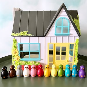 Set of 12 rainbow bird peg dolls