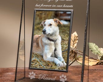 Dog or Cat Memorial Personalized Gift - 4x6 Glass Picture Frame