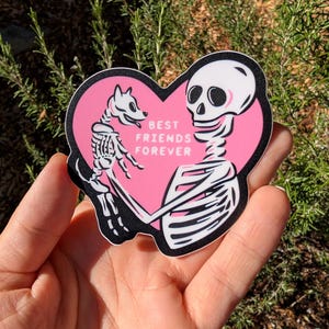 Peut inclure: Autocollant en forme de c&oelig;ur rose avec un contour noir. &Agrave; l'int&eacute;rieur, un squelette tient un chien squelette. Le texte "BEST FRIENDS FOREVER" est imprim&eacute; en blanc. L'autocollant est tenu dans une main.