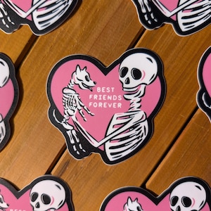 Peut inclure: Autocollants roses en forme de c&oelig;ur avec une illustration de squelette et de chien squelette. Le texte "BEST FRIENDS FOREVER" est imprim&eacute; sur les autocollants. Les autocollants sont noirs et blancs sur fond rose.