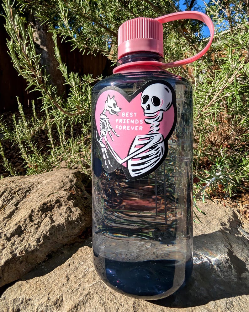 Peut inclure: Une bouteille d'eau transparente avec un bouchon et une poign&eacute;e roses. Un autocollant rose en forme de c&oelig;ur repr&eacute;sente un squelette tenant un chien avec le texte "BEST FRIENDS FOREVER". La bouteille est remplie d'un liquide fonc&eacute;.