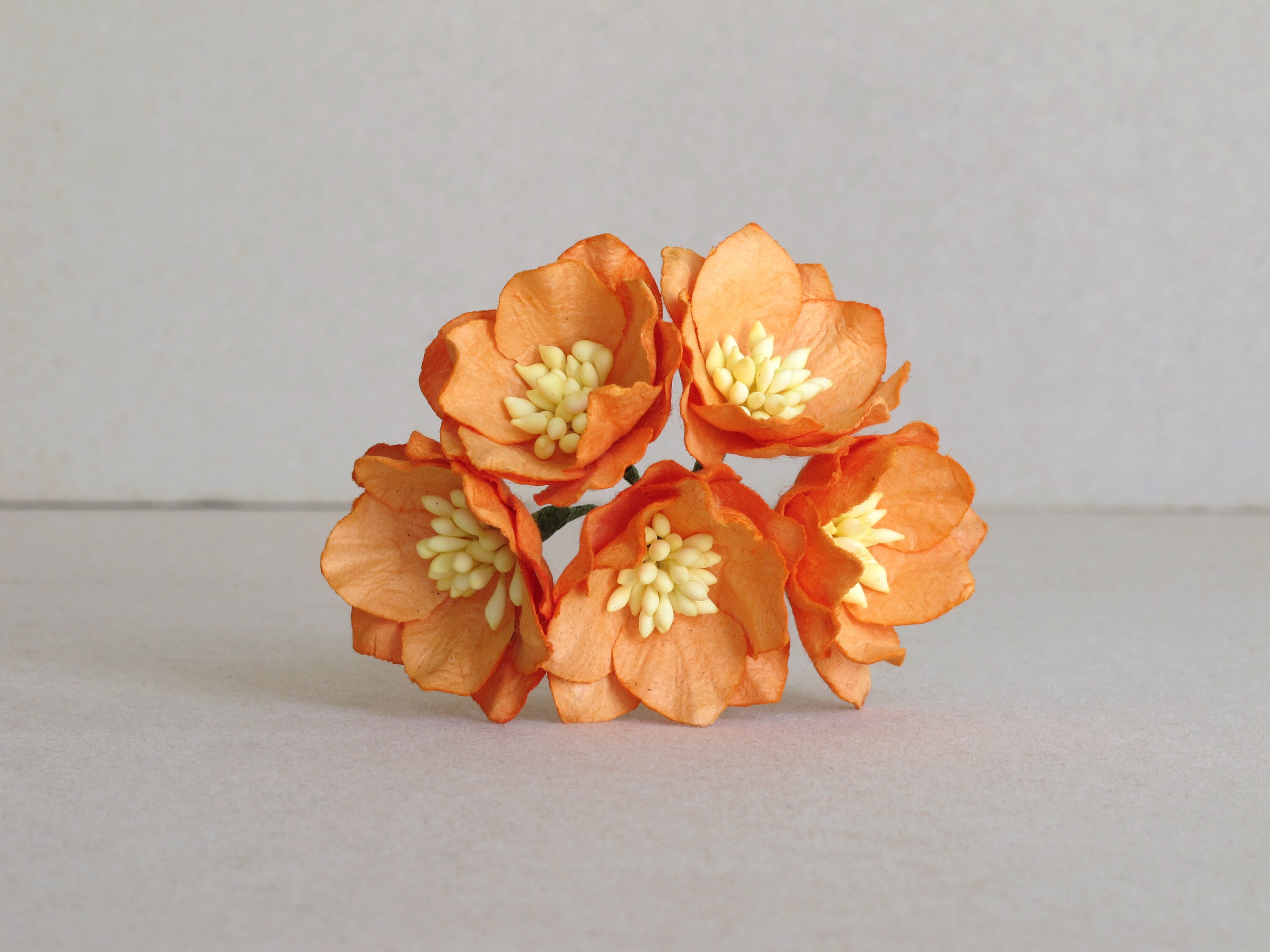 35mm Orange Magnolia 5 mulberry paper flower with wire stems | Etsy