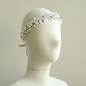 gypsophila