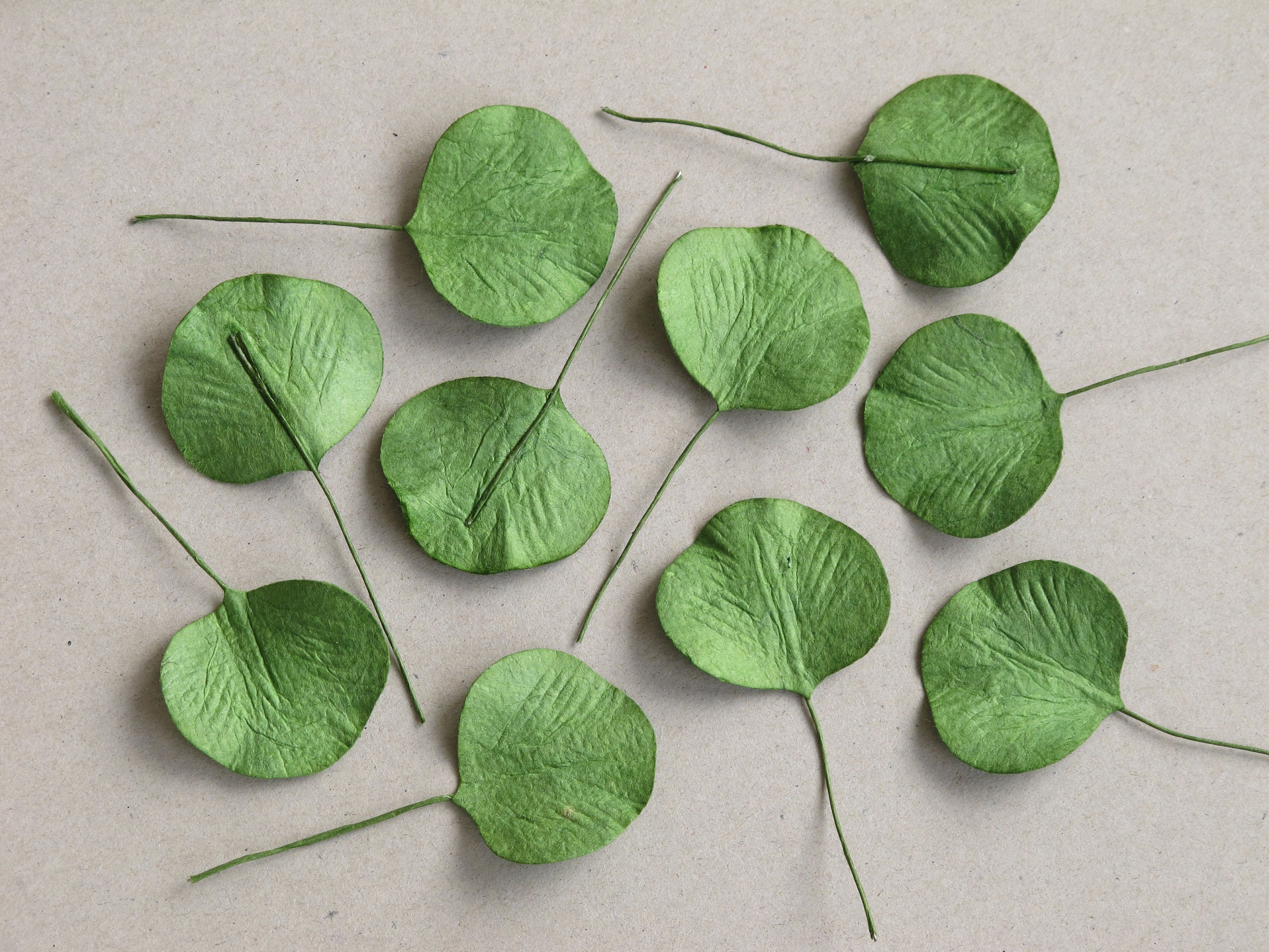 50 Paper Eucalyptus Leaves Green Round Leaves with Wire Etsy