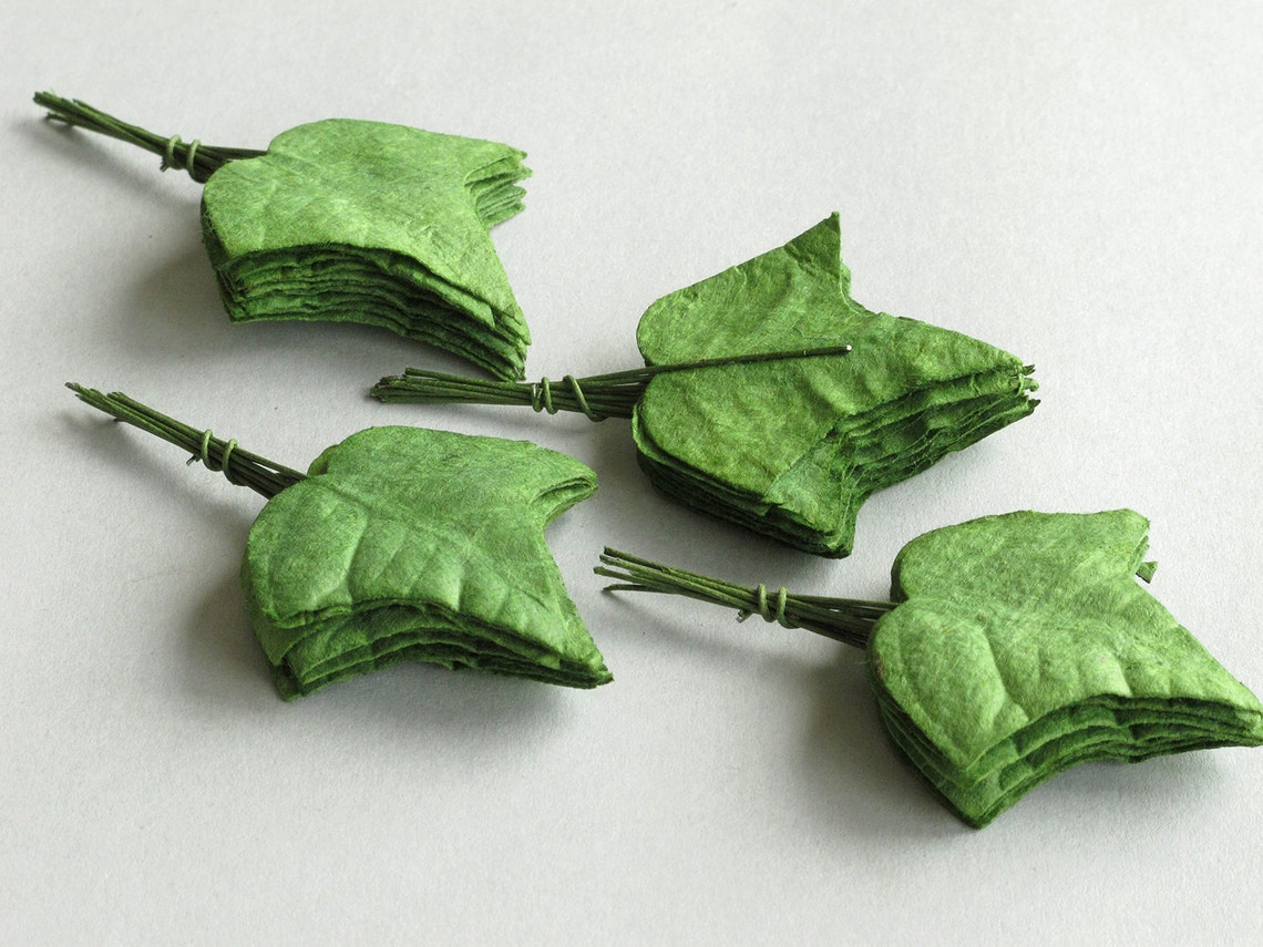 50 Small Paper Ivy Leaves With Wire Stems light Green Made Etsy
