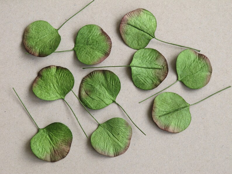 50 Paper Eucalyptus Leaves Green With Dark Tips Round Etsy