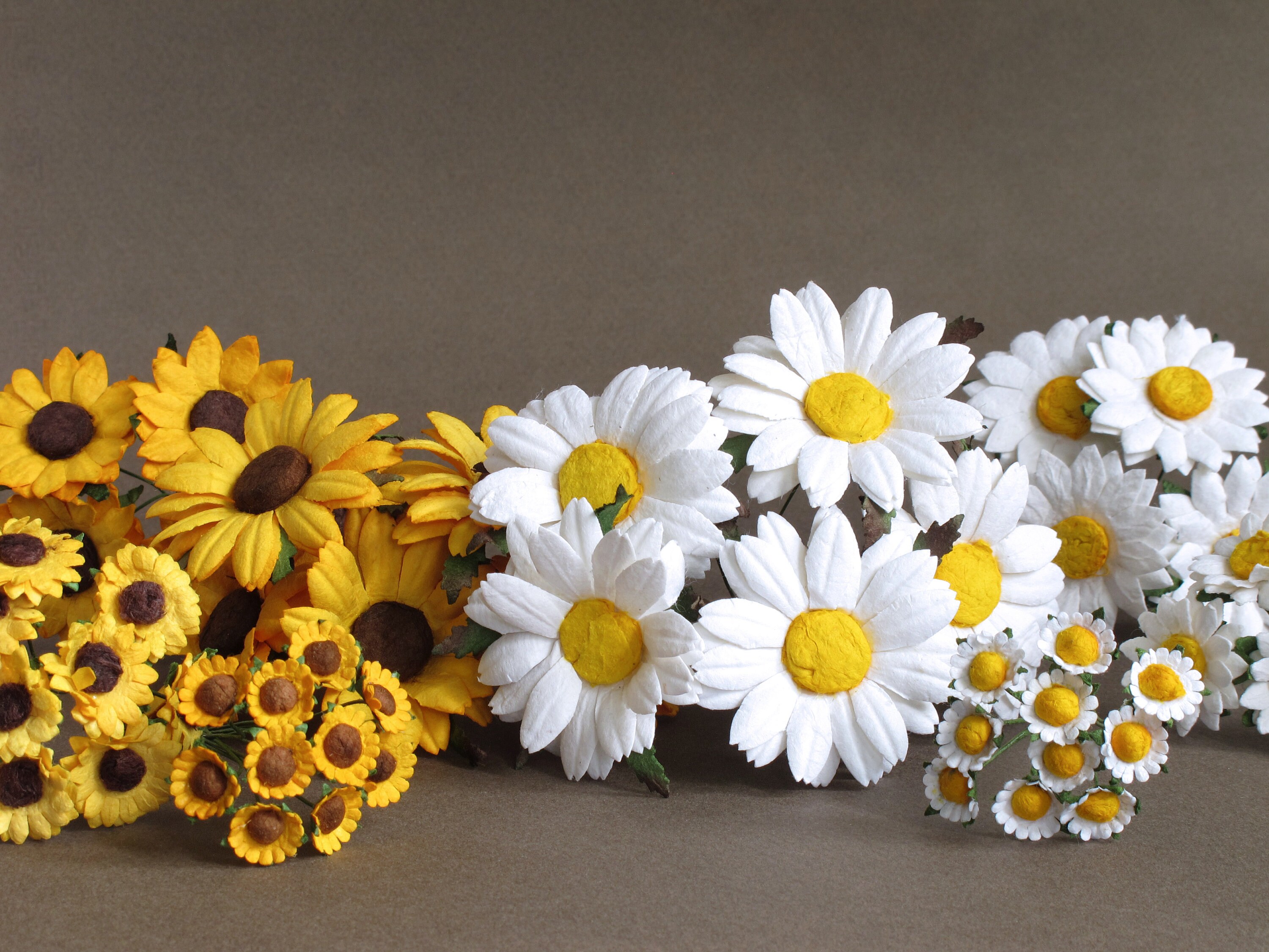 50mm Paper Daisies with Yellow Centre White Mulberry paper Etsy