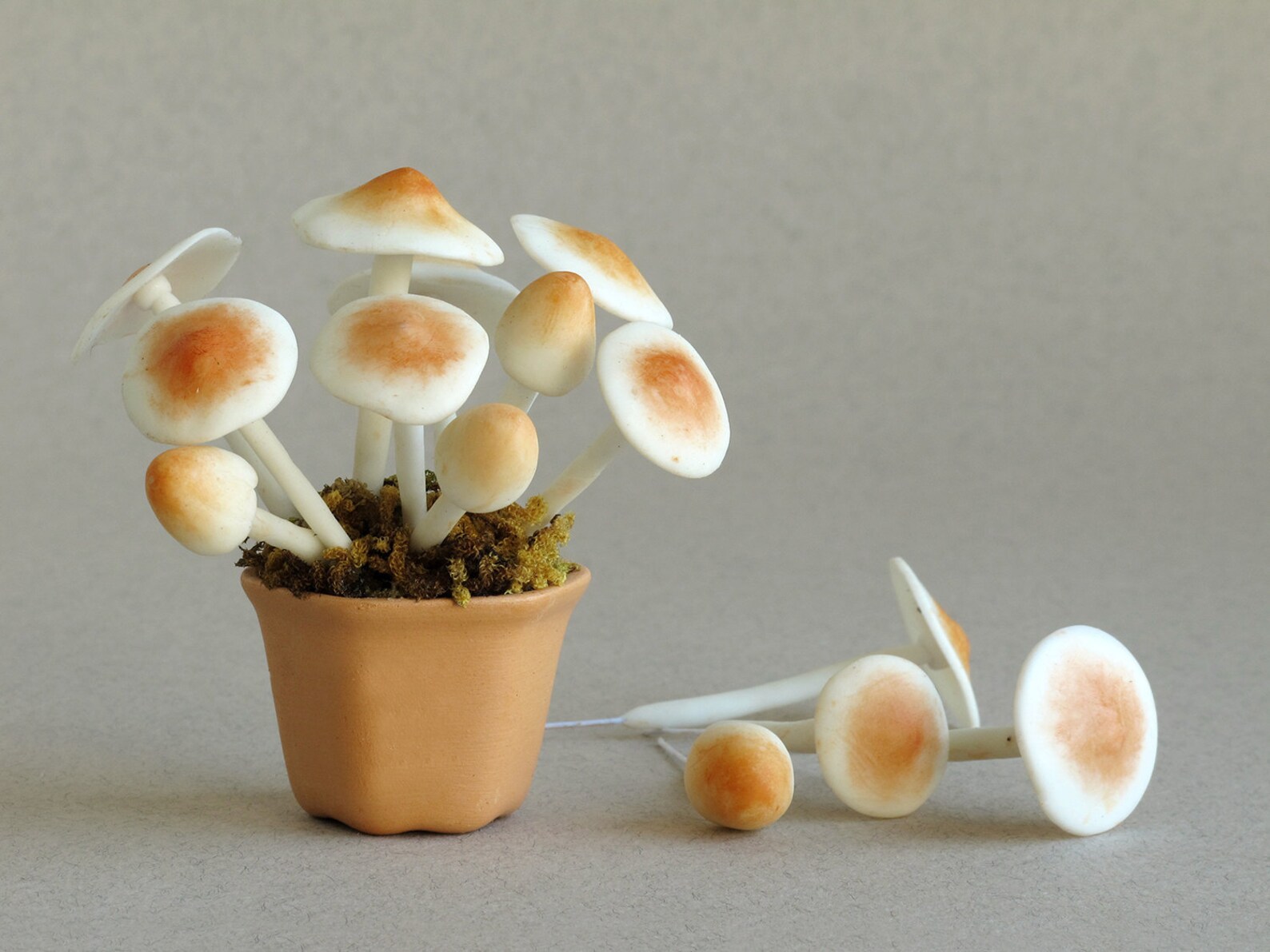 Clay Mushrooms Made of air dry clay and wire stems 10 Etsy