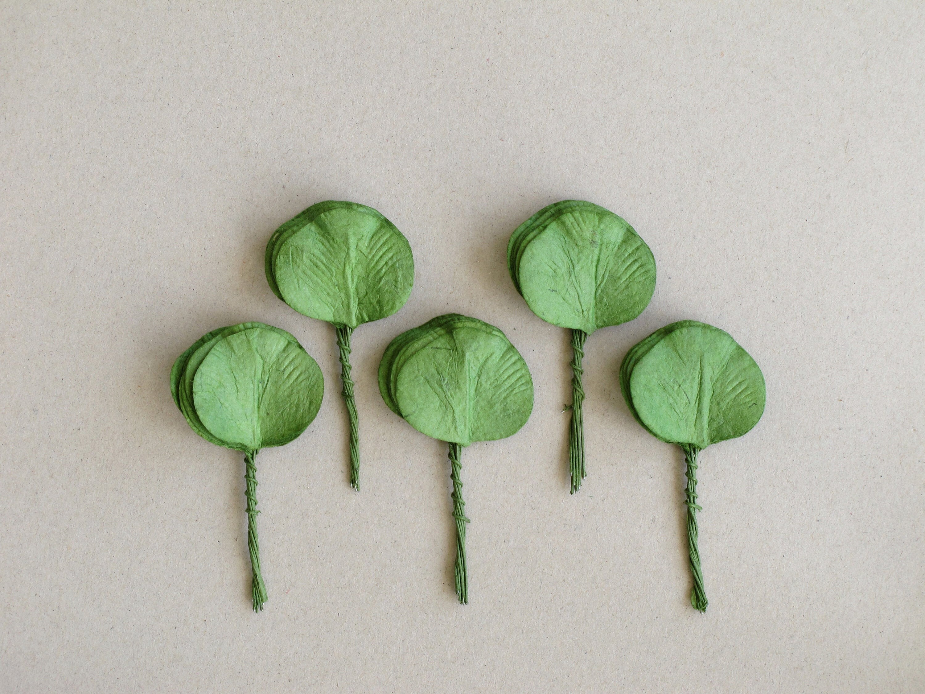 50 Paper Eucalyptus Leaves Green Round Leaves with Wire Etsy