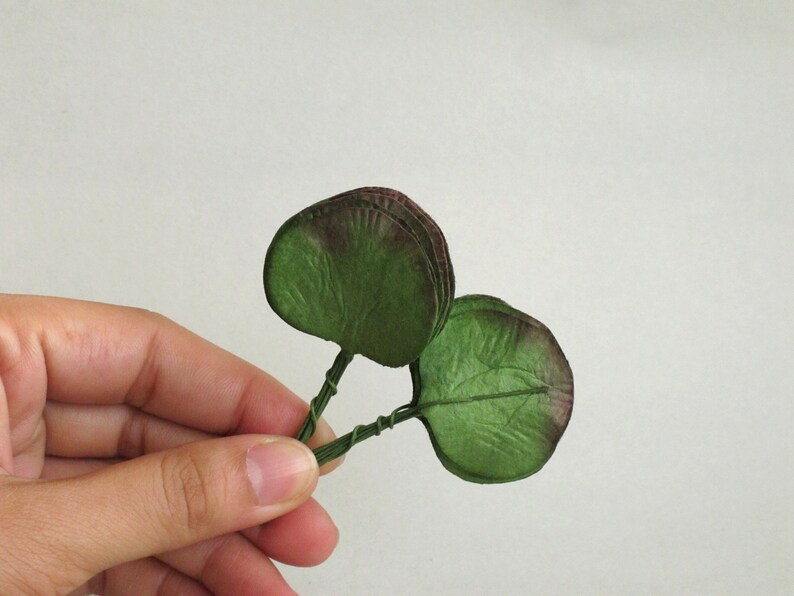 50 Paper Eucalyptus Leaves Green With Dark Tips Round Etsy