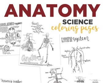 Anatomy Coloring Pages