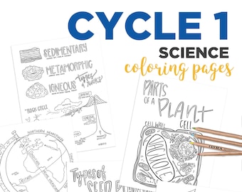 NEW RELEASE Cycle 1 SCIENCE (5th edition)