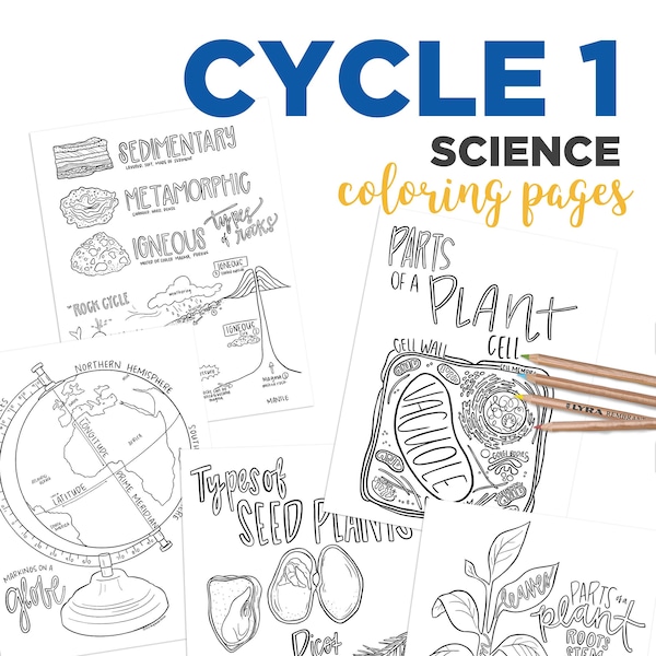 NEW RELEASE Cycle 1 SCIENCE (5th edition)