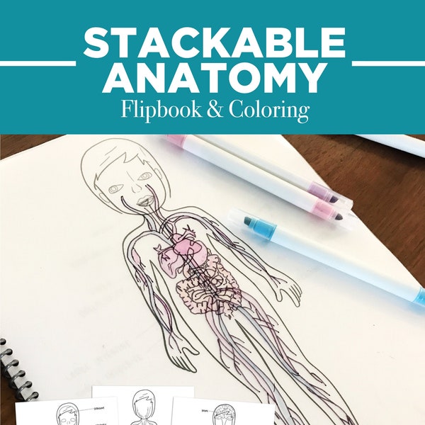 Anatomy Flipbook and Coloring