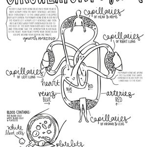 Cycle 3 SCIENCE coloring pages 5th edition image 5