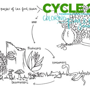 4th EDITION Cycle 2 SCIENCE coloring pages image 3