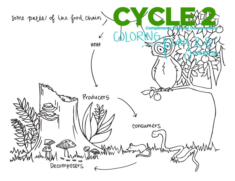 4th EDITION Cycle 2 SCIENCE coloring pages image 3