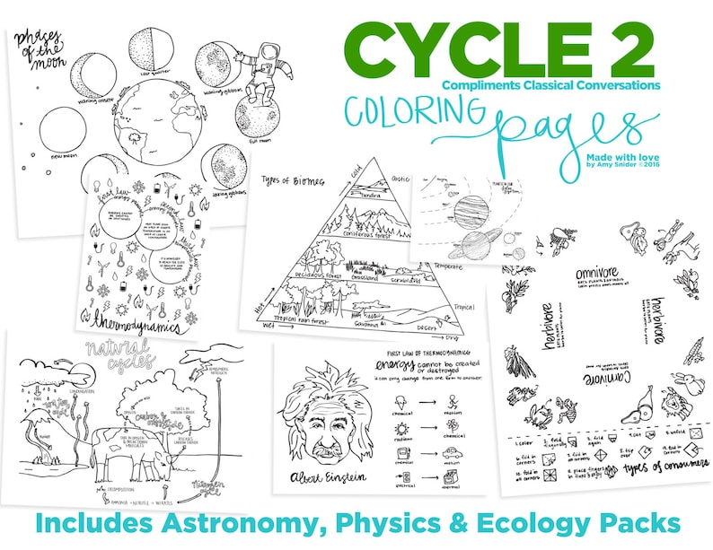 4th EDITION Cycle 2 SCIENCE coloring pages image 2