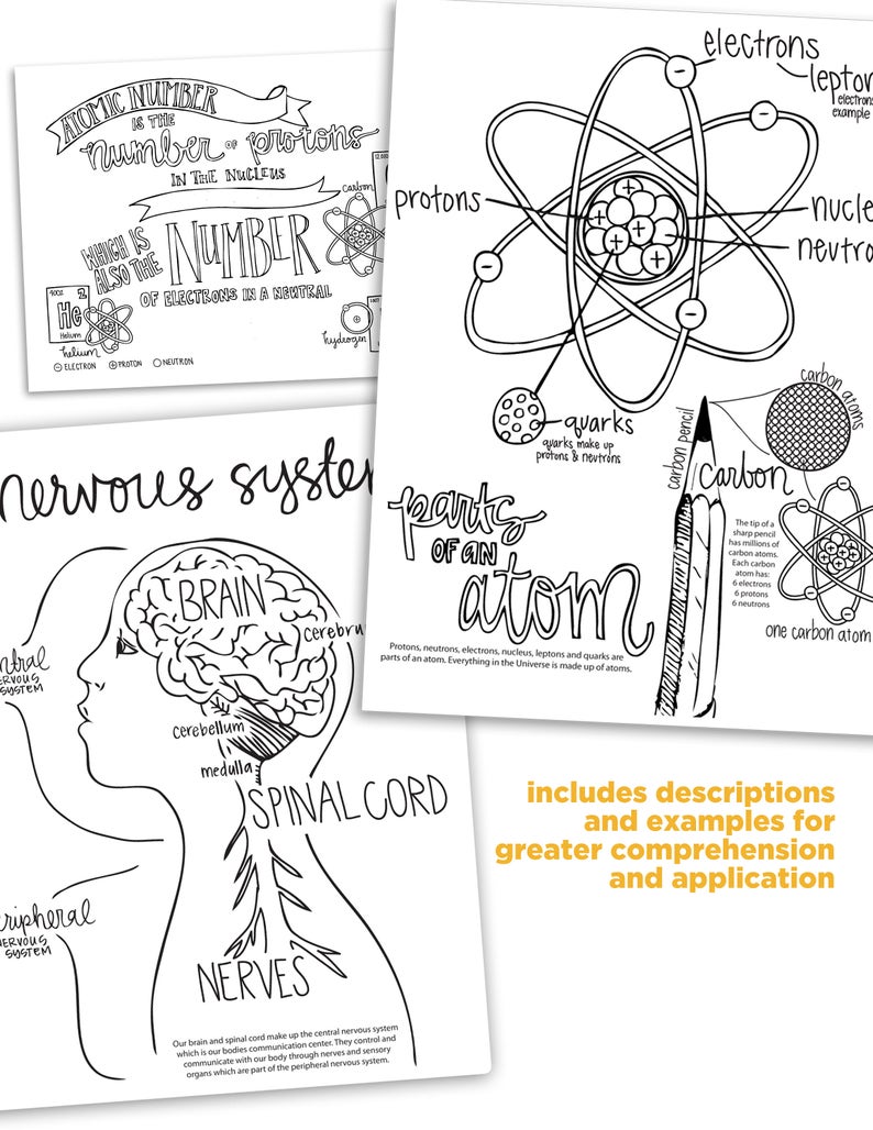 4th EDITION Cycle 3 SCIENCE coloring pages Etsy