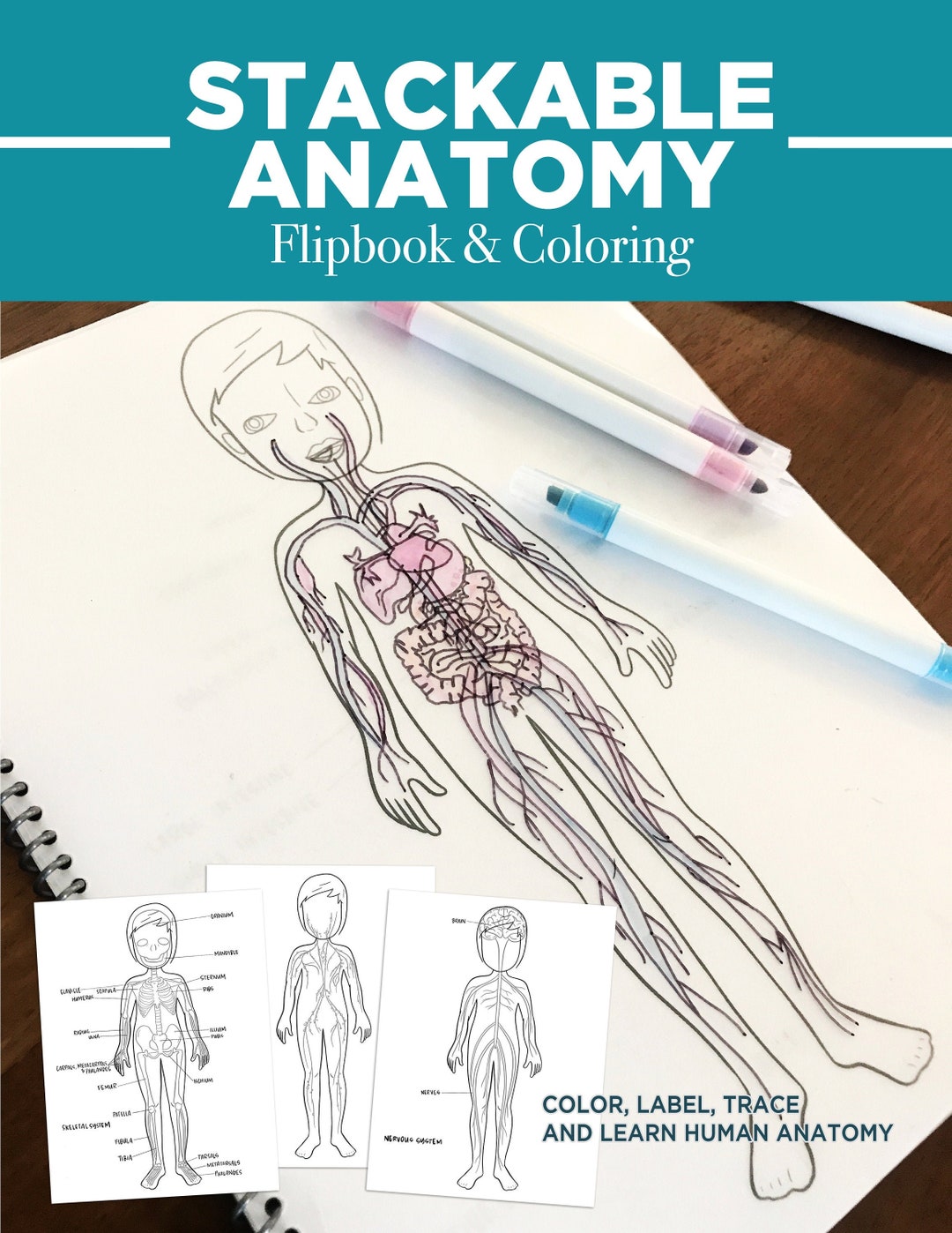 Anatomie flipbook en kleurplaten - Etsy België, image size:1080x1398