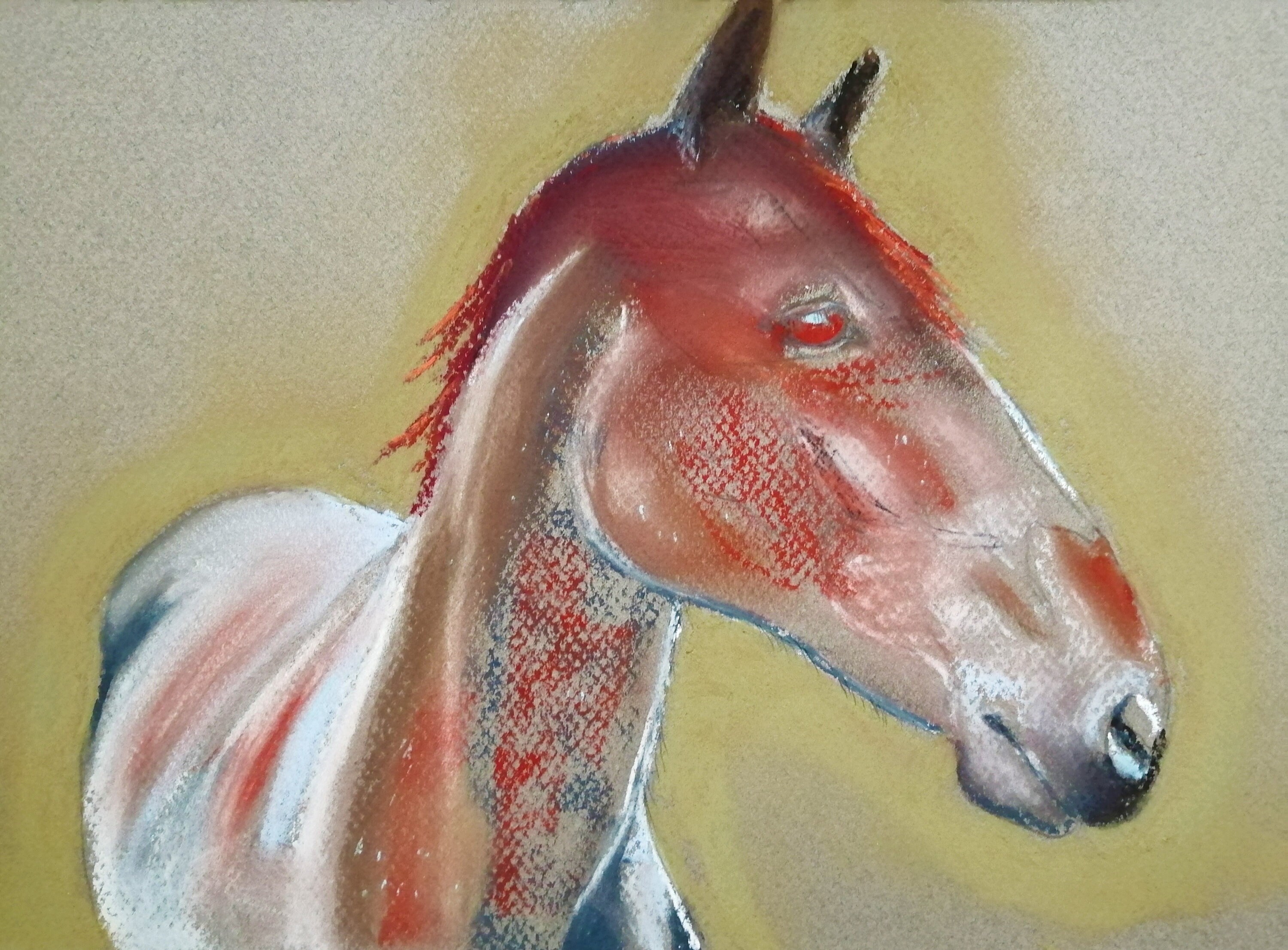 Original Pastel Horse Painting 16 X 12 Matted Artwork Equine Etsy UK
