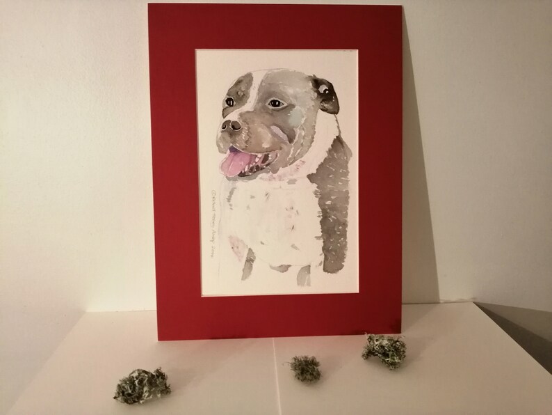 Staffy Art, Staffordshire Bull Terrier, Staffy Painting, Terriers Art
