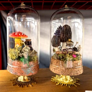 Set of 2  Victorian Gothic whimsical handmade mushroom dioramas under a glass cloche.    4x2&quot;