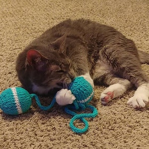 Catnip Ball String Toy Teal