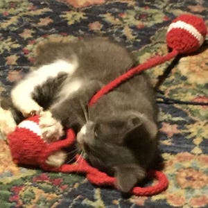 Catnip Ball String Toy image 2