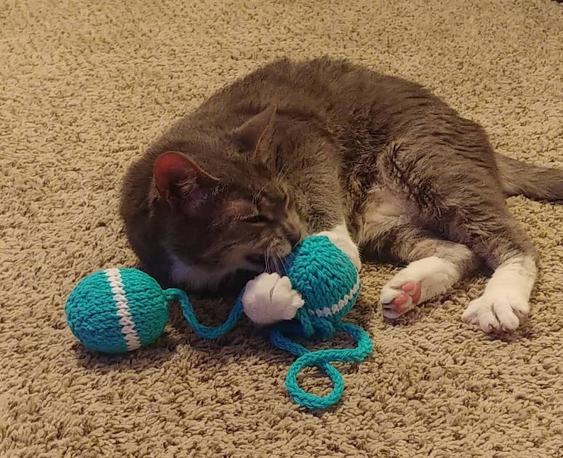 Catnip Ball String Toy Teal