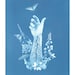 see more listings in the Cyanotype Prints section