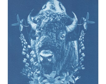 Cyanotype Art, Giclee Print, Lamar Valley Bison, Botanical Art, Original Photography, Blueprint, Yellowstone, Montana Flora and Fauna